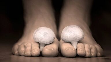 How to recognize the presence of mushrooms on the legs