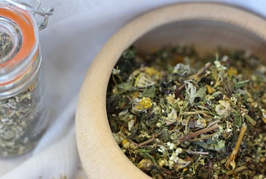 medicinal herbs for the treatment of fungi